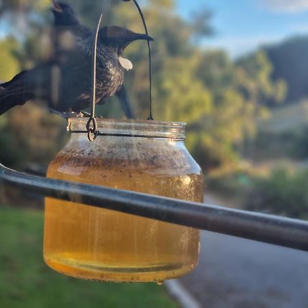 Catlins Lake Sanctuary Owaka Eksteriør billede