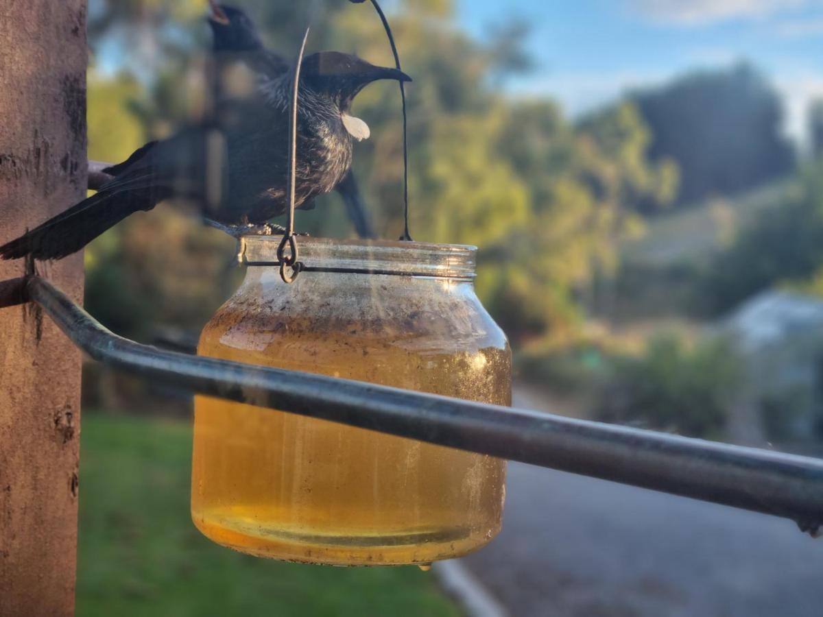 Catlins Lake Sanctuary Owaka Eksteriør billede